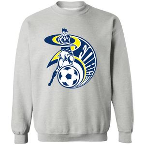 Cleveland Force Sweatshirt Crewneck Pullover MISL Soccer color Sport Grey Cleveland Force Sweatshirt Crewneck Pullover MISL Soccer color Sport Grey