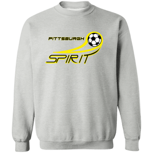 Pittsburgh Spirit Sweatshirt Crewneck Pullover MISL Soccer color Sport Grey Pittsburgh Spirit Sweatshirt Crewneck Pullover MISL Soccer color Sport Grey