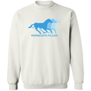 Minnesota Fillies WBL Sweatshirt Pullover Crewneck Womens Pro Basketball Team color White Minnesota Fillies WBL Sweatshirt Pullover Crewneck Womens Pro Basketball Team color White