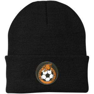 Detroit Cougars NASL Beanie Cap Knit North American Soccer League Team color Black Detroit Cougars NASL Beanie Cap Knit North American Soccer League Team color Black