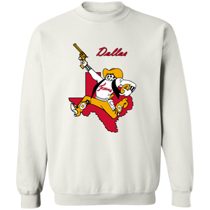 Dallas Texans Sweatshirt Crewneck Pullover NFL Football Team Fan Apparel color White Dallas Texans Sweatshirt Crewneck Pullover NFL Football Team Fan Apparel color White