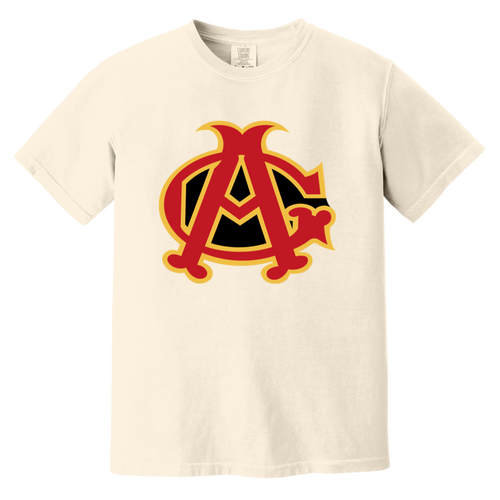 Chicago American Giants T-shirt Heavyweight Negro Leagues Baseball Team Fan Apparel color Ivory