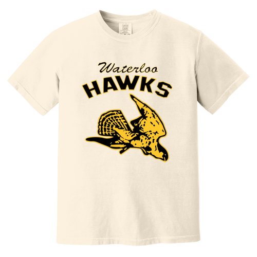 Waterloo Hawks T-shirt Heavyweight NBA Basketball Team Fan Apparel Tee color Ivory