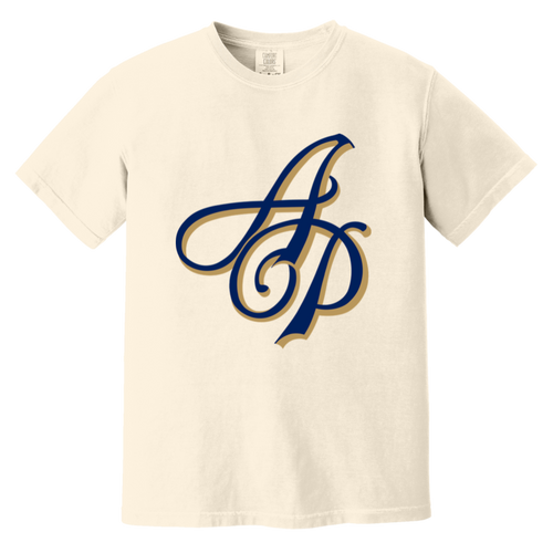 Akron Pros T-shirt Heavyweight NFL Football Team Fan Apparel Tee color Ivory