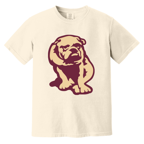 Canton Bulldogs T-shirt Heavyweight NFL Football Team Fan Apparel Tee color Ivory
