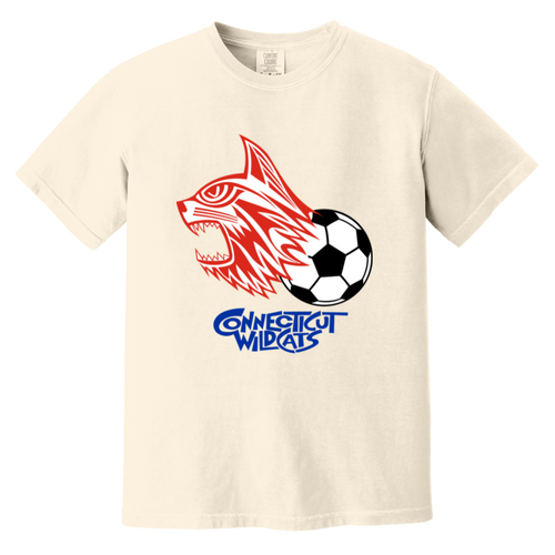 Connecticut Wildcats T-shirt Heavyweight ASL Soccer Team Fan Apparel Tee color Ivory
