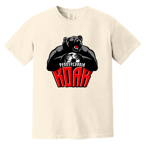 Pennsylvania Roar T-shirt Heavyweight MISL Soccer Team Fan Apparel Tee color Ivory