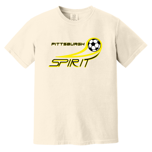 Pittsburgh Spirit T-shirt Heavyweight MISL Soccer Team Fan Apparel Tee color Ivory