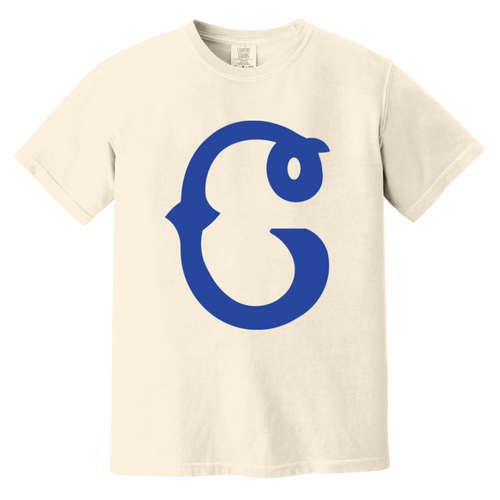 Columbus Blue Birds T-shirt Heavyweight Negro Leagues Baseball Team Fan Apparel Tee color Ivory