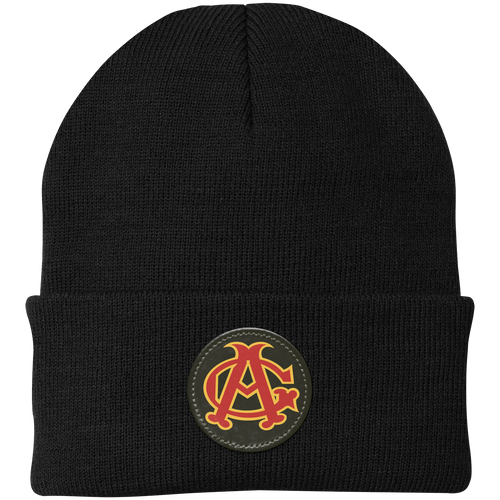 Chicago American Giants Knit Beanie Cap Negro Leagues Baseball Team color Black