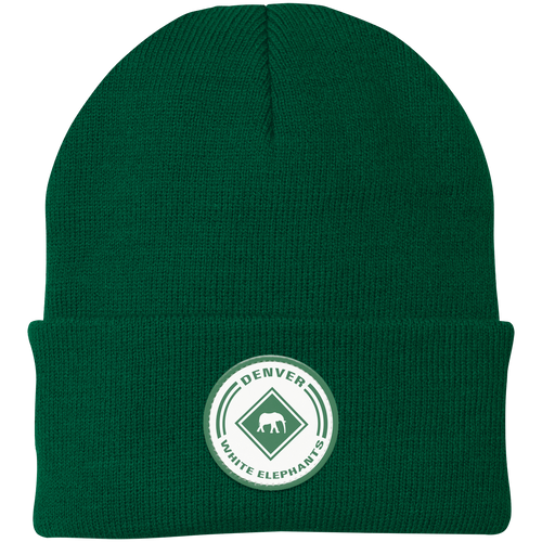 Denver White Elephants Knit Beanie Cap Negro League Baseball Team color Green