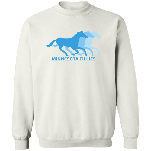 Minnesota Fillies WBL Sweatshirt Pullover Crewneck Womens Pro Basketball Team color White