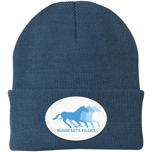 Minnesota Fillies WBL Beanie Knit Cap Womens Pro Basketball League Team color Millennium Blue