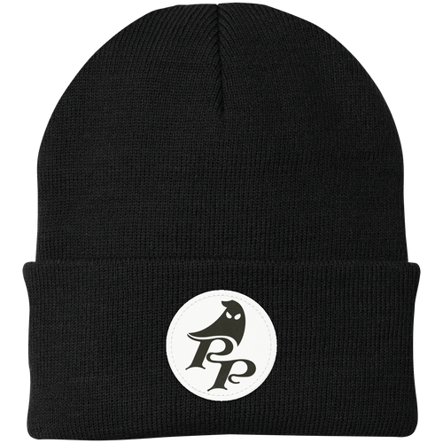 Pittsburgh Phantoms NASL Beanie Knit Cap North American Soccer League Team color Black