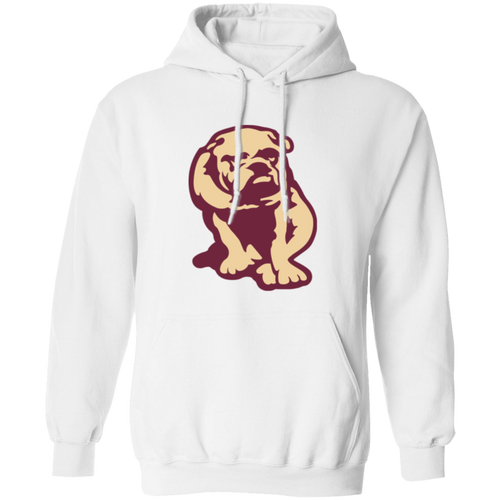 Canton Bulldogs Hoodie Pullover Classic NFL Football Team Fan Apparel color White