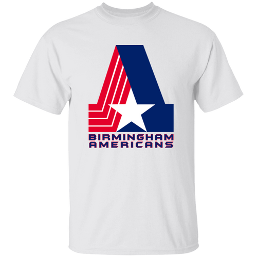 Akron Pros T-shirt WFL Football Team Logo Fan Apparel color White
