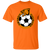 Detroit Cougars T-shirt Classic NASL Soccer color Orange