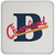 Cleveland Buckeyes Negro Leagues Baseball Drink Coaster color White Cleveland Buckeyes Negro Leagues Baseball Drink Coaster color White