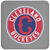 Cleveland Buckeyes Negro Leagues Baseball Team Drink Coaster color Gray Cleveland Buckeyes Negro Leagues Baseball Team Drink Coaster color Gray