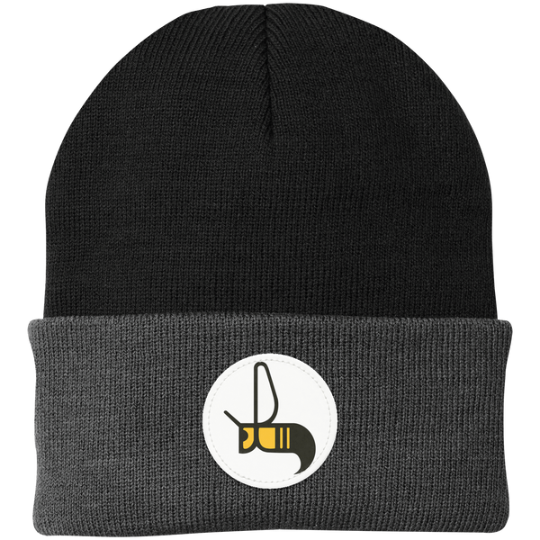 Charlotte Hornets Knit Beanie WFL Football Team Headwear color Black/Grey