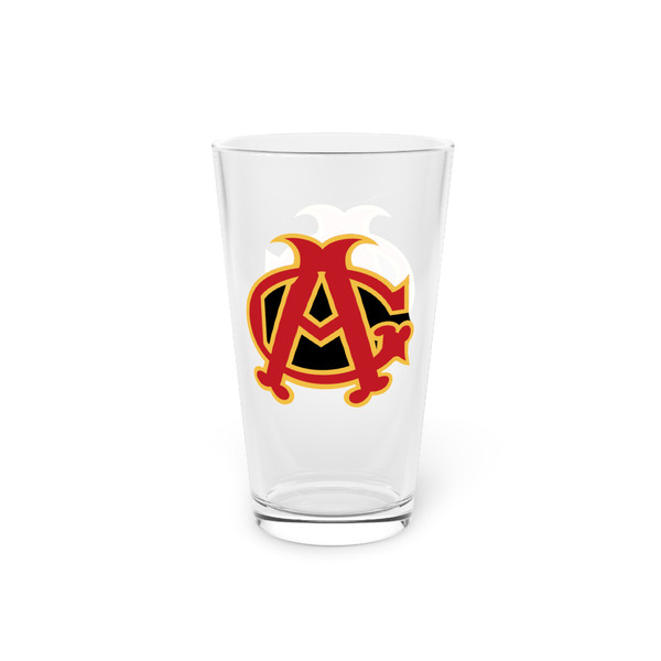 Chicago American Giants Pint Beer Glass 16 oz Negro Leagues Baseball Team Collectible Drinkware