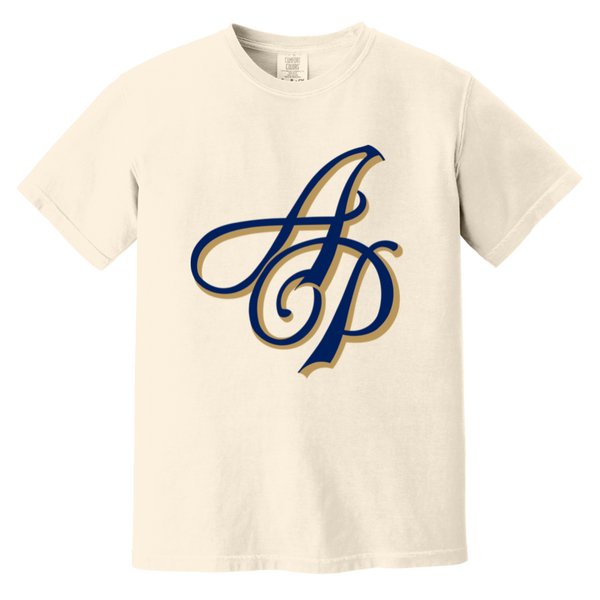 Akron Pros T-shirt Heavyweight NFL Football Team Fan Apparel Tee color Ivory