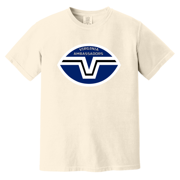 Virginia Ambassadors T-shirt Heavyweight WFL Football Team Fan Apparel Tee color Ivory