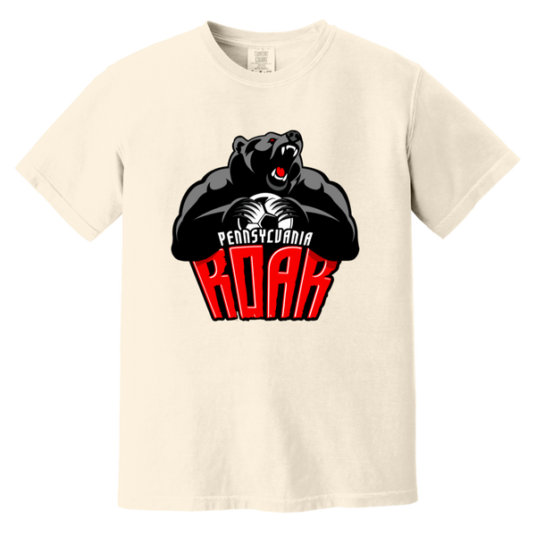 Pennsylvania Roar T-shirt Heavyweight MISL Soccer Team Fan Apparel Tee color Ivory