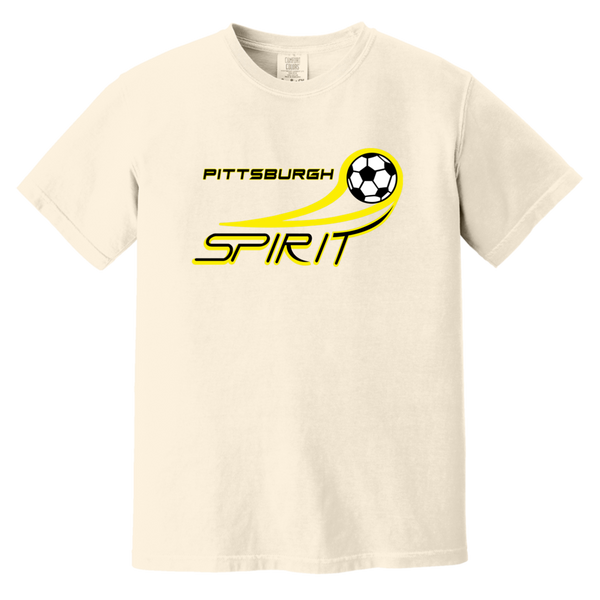 Pittsburgh Spirit T-shirt Heavyweight MISL Soccer Team Fan Apparel Tee color Ivory