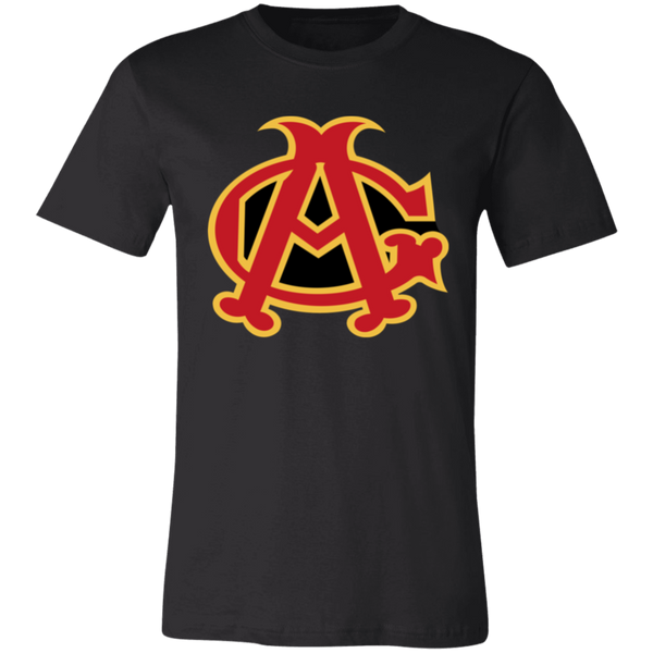 Chicago American Giants T-shirt Premium Negro League Baseball color Black