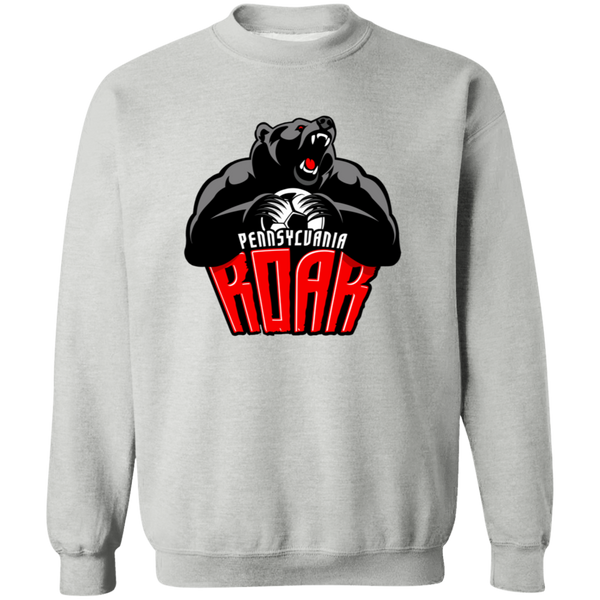 Pennsylvania Roar Sweatshirt Crewneck Pullover MISL Soccer color Sport Grey