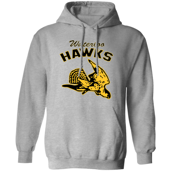 Waterloo Hawks Hoodie Pullover Classic NBA Basketball Team color Sports Gray