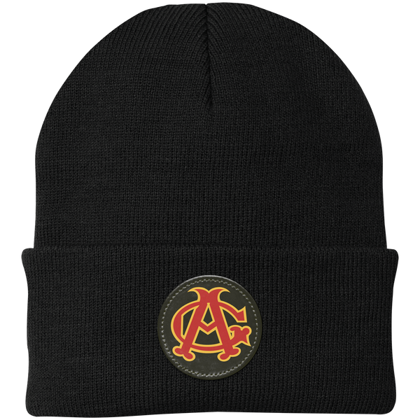 Chicago American Giants Knit Beanie Cap Negro Leagues Baseball Team color Black