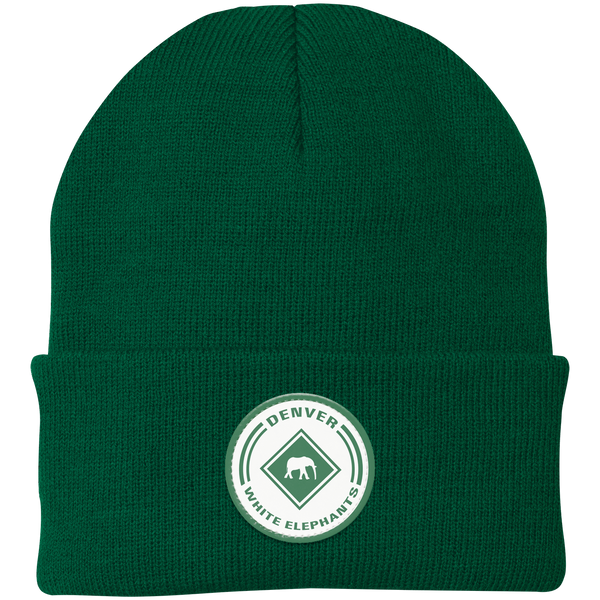 Denver White Elephants Knit Beanie Cap Negro League Baseball Team color Green