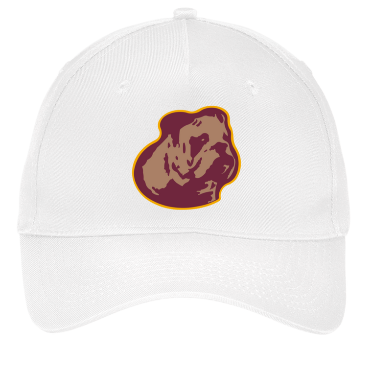 Boston Bulldogs Twill Cap NFL Football Team color White
