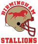 Birmingham Stallions USFL Helmet Colorblock Raglan 3/4 Sleeve Shirt Logo Detail