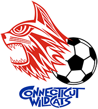 CONNECTICUT WILDCATS