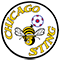 Chicago Sting NASL Soccer Team Logo