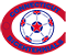 Connecticut Bicentennials NASL Soccer Team Logo