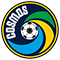 New York Cosmos NASL Soccer Team Logo