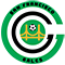 San Francisco Gales NASL Soccer Team Logo