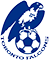 Toronto City Falcons NASL Soccer Team Logo