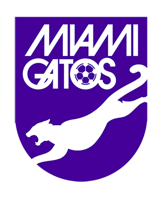 MIAMI GATOS MIAMI GATOS