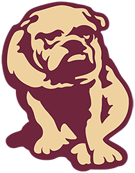 CANTON BULLDOGS