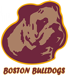BOSTON BULLDOGS