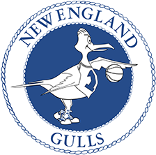 NEW ENGLAND GULLS