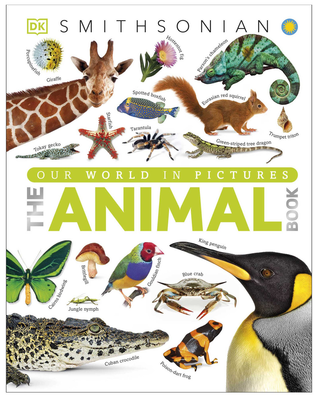 The Animal Book | Shop Smithsonian Store