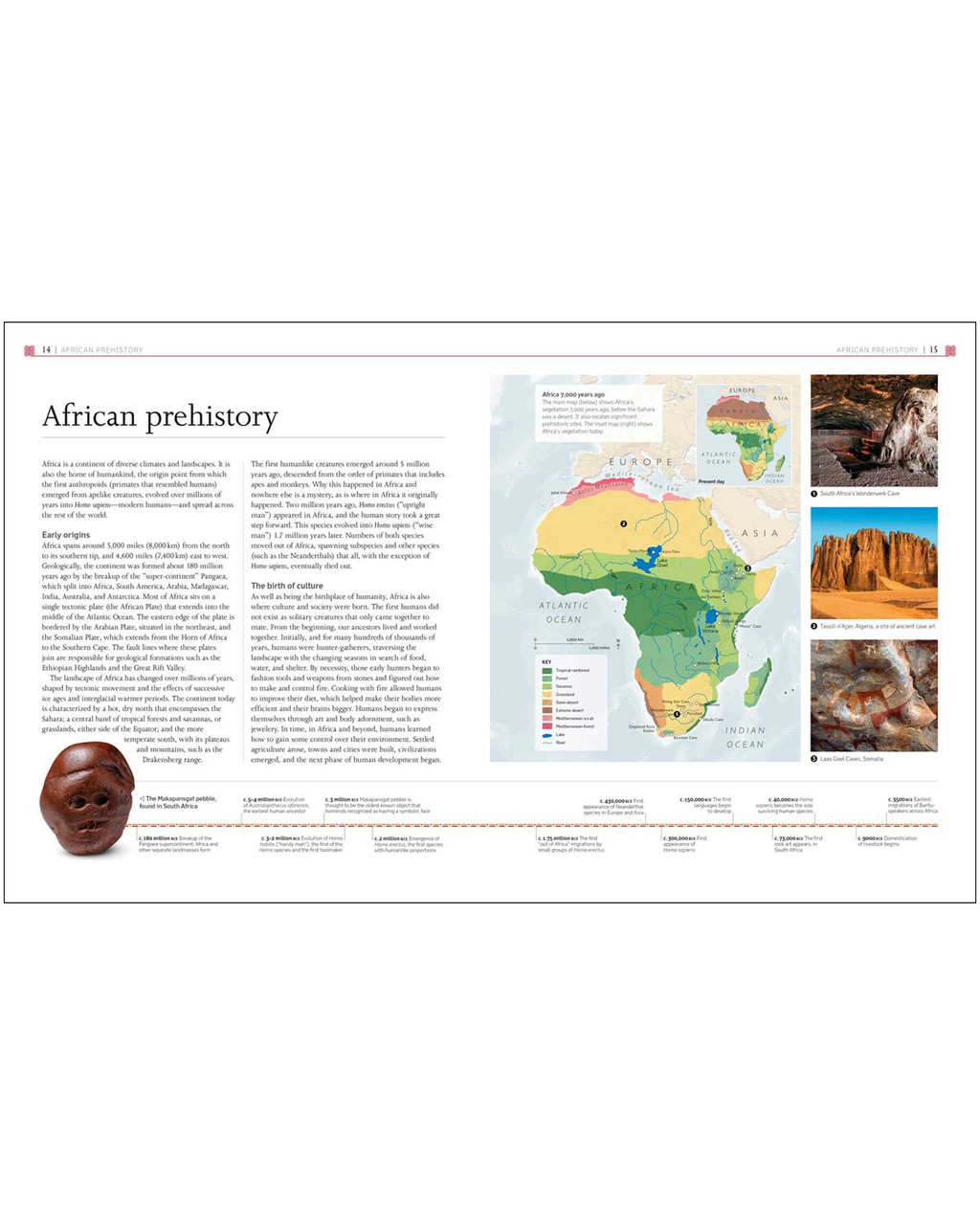 Africa | Shop Smithsonian Store