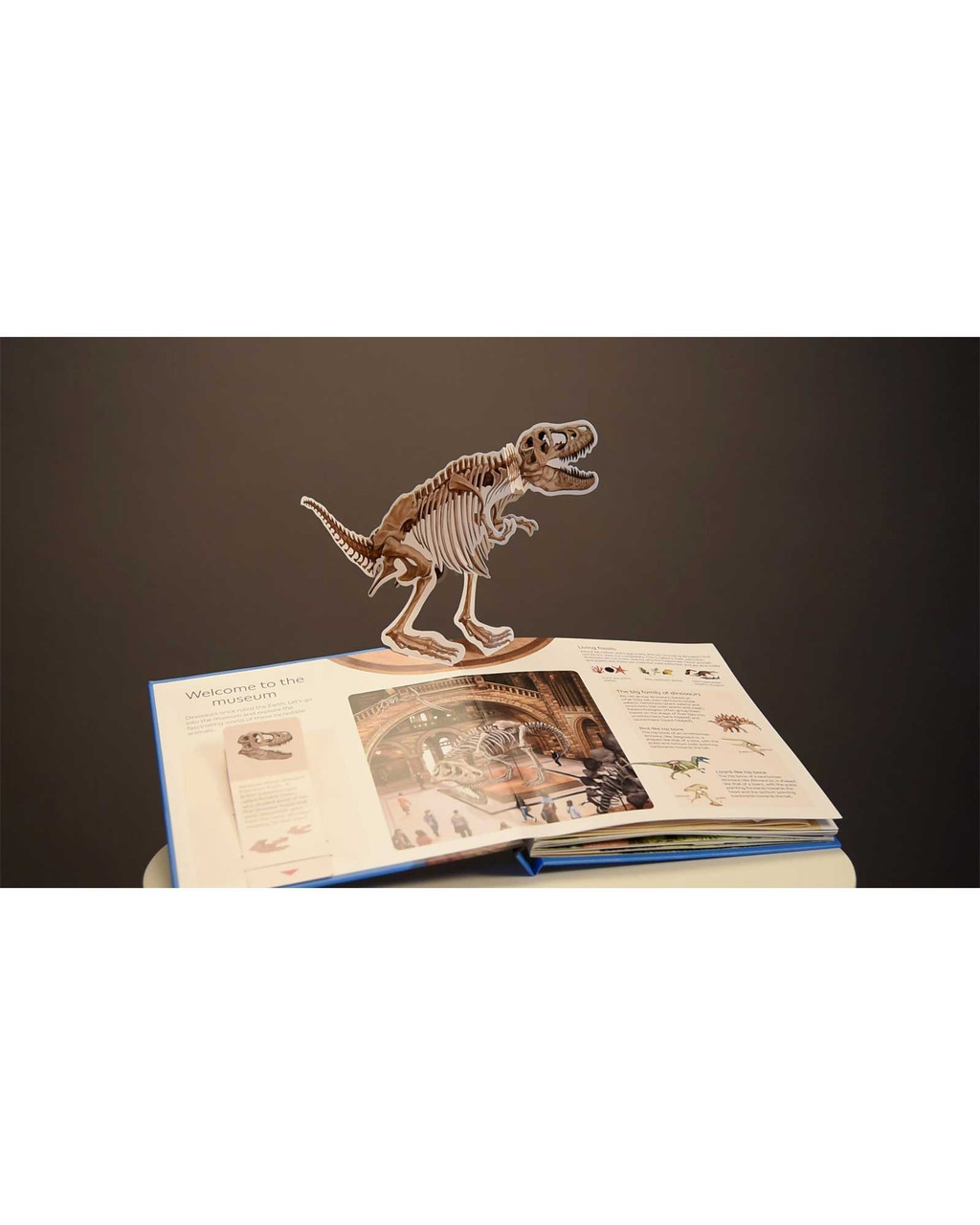 Let's Explore Dinosaurs Pop-Up | Shop Smithsonian Store