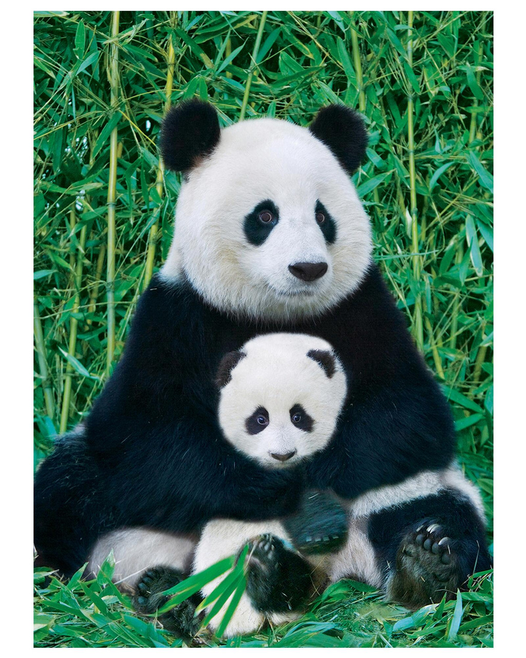 その他 Jigsaw Puzzle/Pandas in the Cherry Orcha Jigsaw Puzzle/Pandas in the Cherry Orchard! Panda 【公式通販】